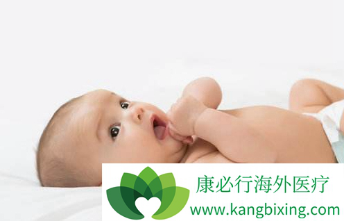 专业同志代怀助孕报价多少